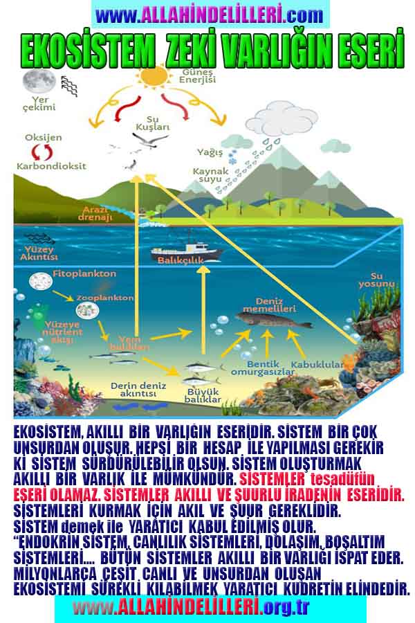 allah var delilleri, allahin varlıgının delilleri, allahin delilleri, allah in varliginin delilleri nelerdir?, allah ın ispatı