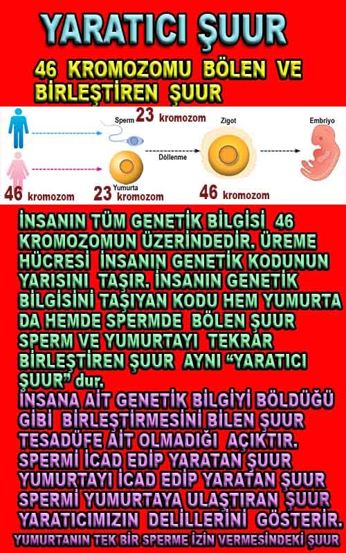 allah var delilleri, allahin varlıgının delilleri, allahin delilleri, allah in varliginin delilleri nelerdir?, allah ın ispatı