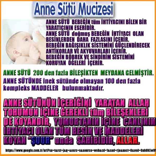 allah var delilleri, allahin varlıgının delilleri, allahin delilleri, allah in varliginin delilleri nelerdir?, allah ın ispatı